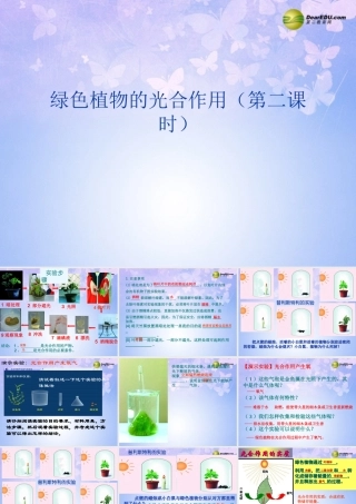 七年级生物上册 光合作用(第二课时)课件 济南版 课件