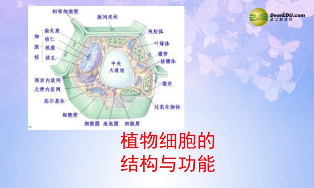 中学七年级生物上册 细胞的结构与功能课件 苏教版 课件