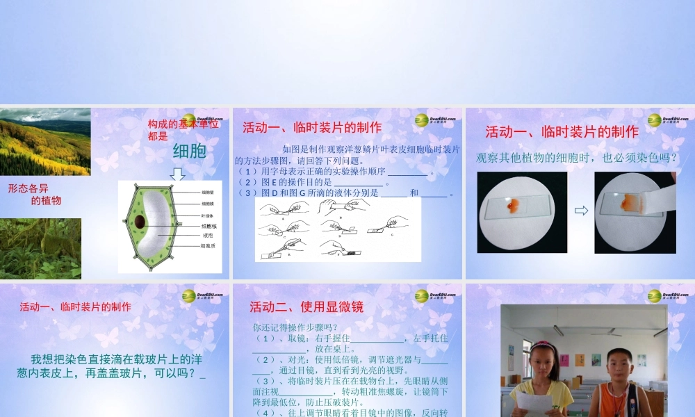 中学七年级生物上册 细胞的结构与功能课件 苏教版 课件