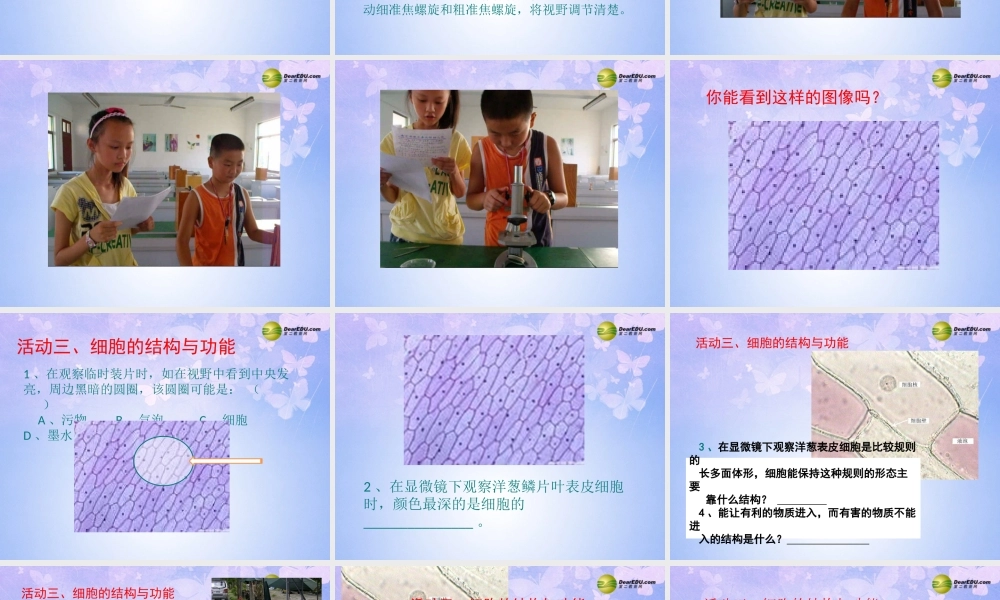 中学七年级生物上册 细胞的结构与功能课件 苏教版 课件