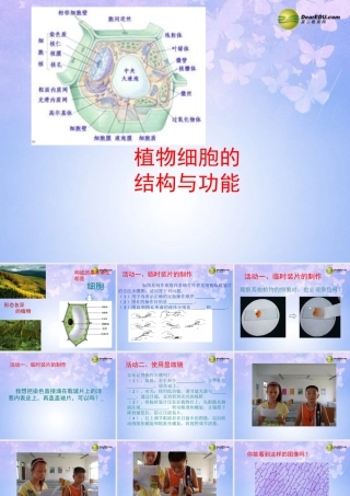中学七年级生物上册 细胞的结构与功能课件 苏教版 课件