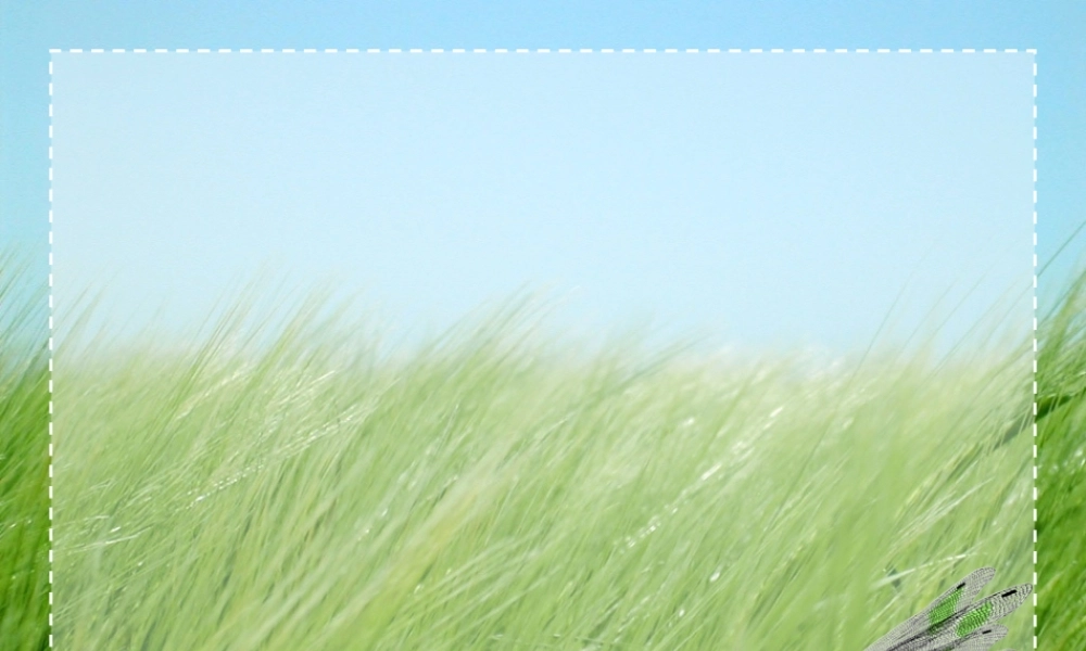 PPT动态模板：草原蜻蜓动态