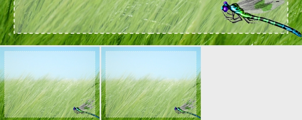 PPT动态模板：草原蜻蜓动态