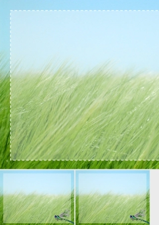 PPT动态模板：草原蜻蜓动态