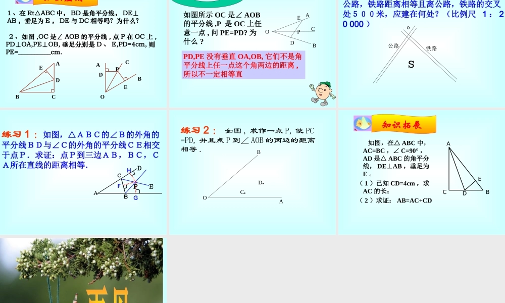 八年级数学上册全等三角形角平分的性质课件人教版 课件