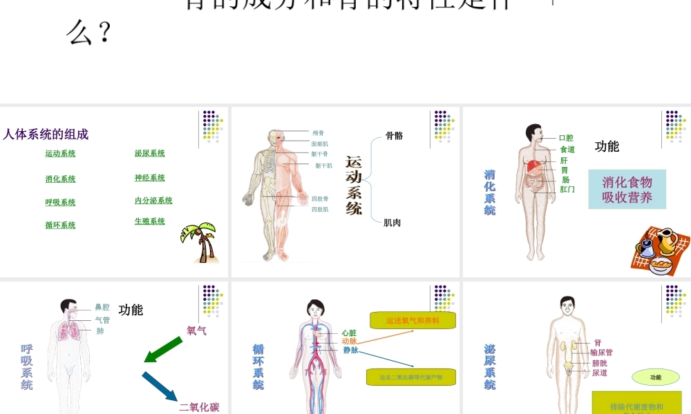 第三节人体概述-(3)