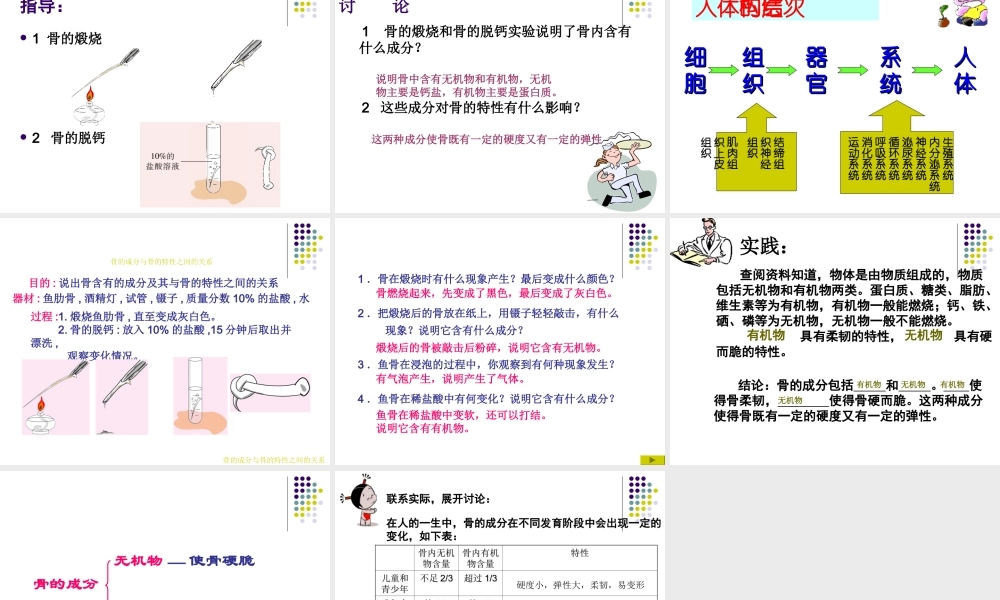 第三节人体概述-(3)