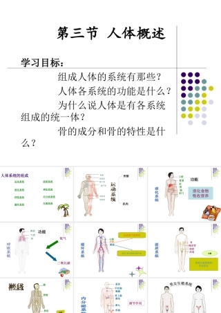 第三节人体概述-(3)