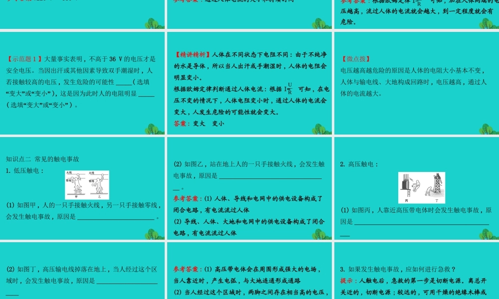 九年级物理全册 第十九章 第3节安全用电习题课件 (新版)新人教版 课件