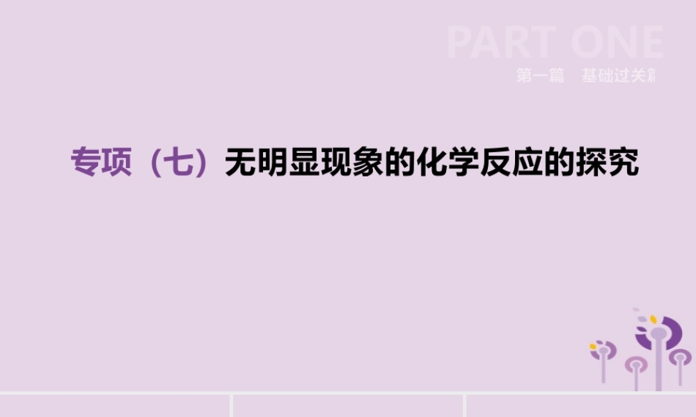 中考化学复习 第一篇 基础过关篇 专项07 无明显现象的化学反应的探究课件