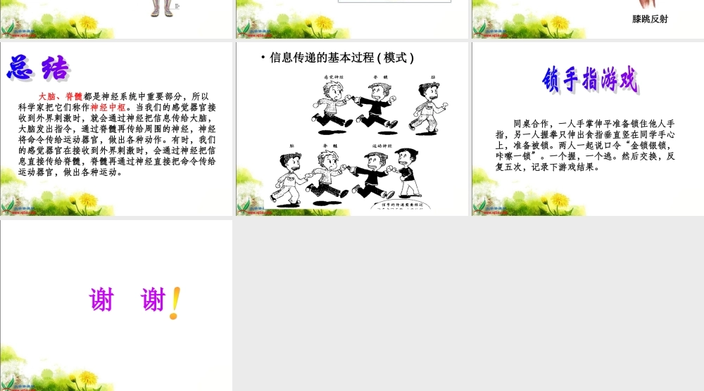 苏教版小学科学五年级下册《神经》课件