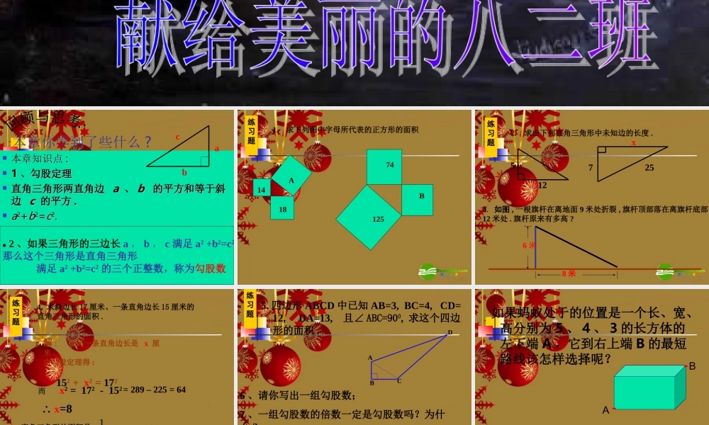 八年级数学上册 第一章勾股定理复习与测试 北师大版 课件