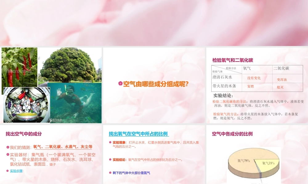 空气的主要成分