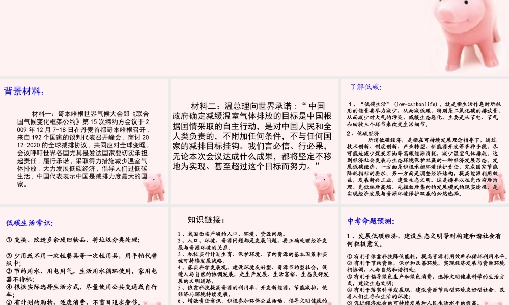 中考政治 低碳生活专题复习课件 人教新课标版 课件