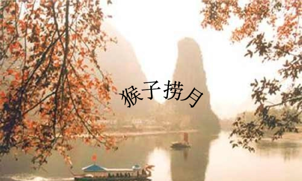八年级物理上册(科学探究—平面镜成像) 课件 教科版 课件