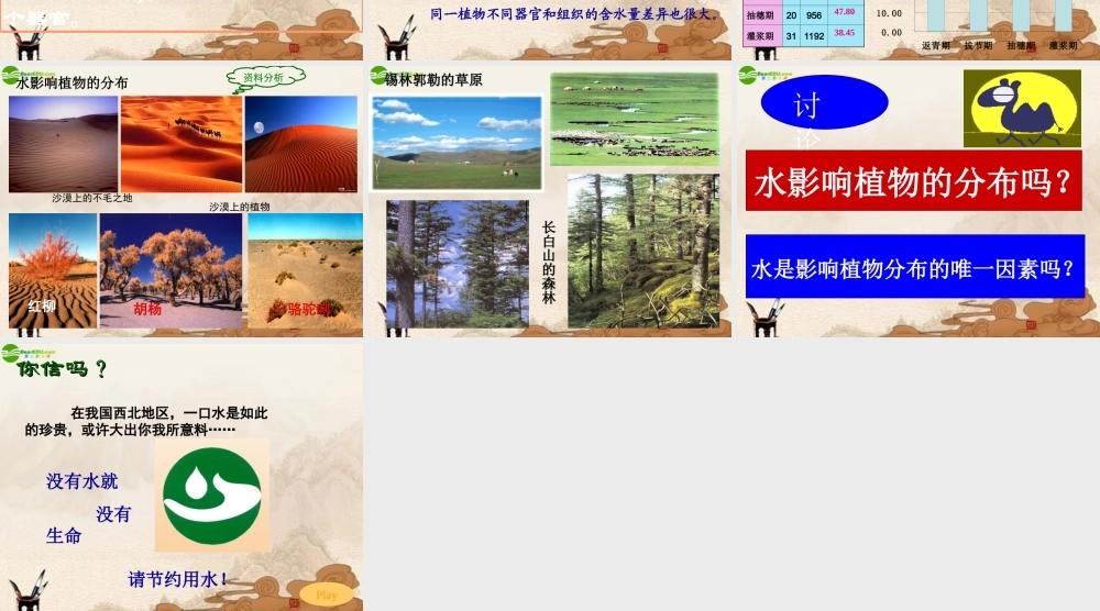 七年级生物上册 绿色植物的生活需要水课件 人教新课标版 课件