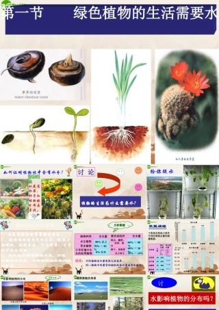七年级生物上册 绿色植物的生活需要水课件 人教新课标版 课件