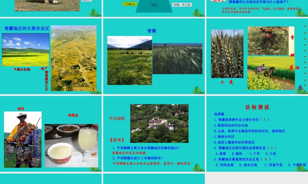 八年级地理下册 第九章 第一节 自然特征与农业(二高寒牧区和河谷农业区)课件 八年级地理下册 第九章 第一节 自然特征与农业课件+素材(新版)新人教版 八年级地理下册 第九章 第一节 自然特征与农业课件+素材(新版)新人教版-2