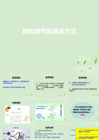 中学七年级生物(神经调节的基本方式)课件 人教新课标版 课件