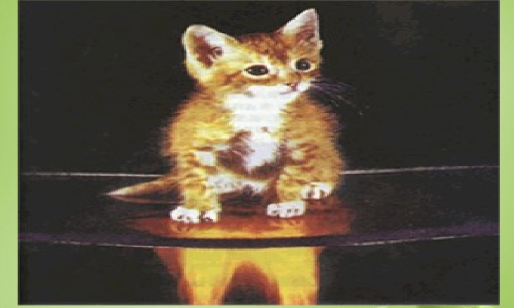 中学九年级化学上册 1.1 物质的变化和性质课件 (新版)新人教版 课件