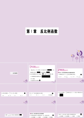 九年级数学上册 第1章 反比例函数 11 反比例函数作业课件 (新版)湘教版 课件