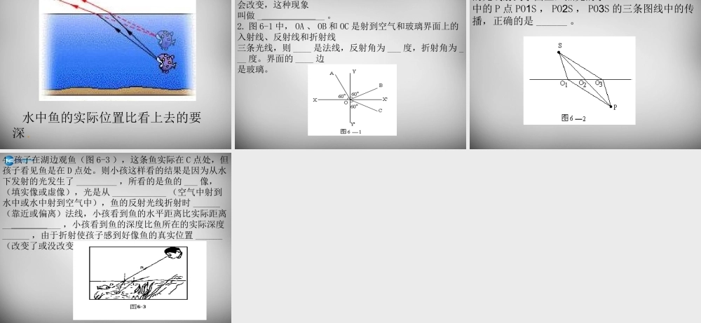 八年级物理上册 4.4 光的折射课件1 (新版)新人教版 课件