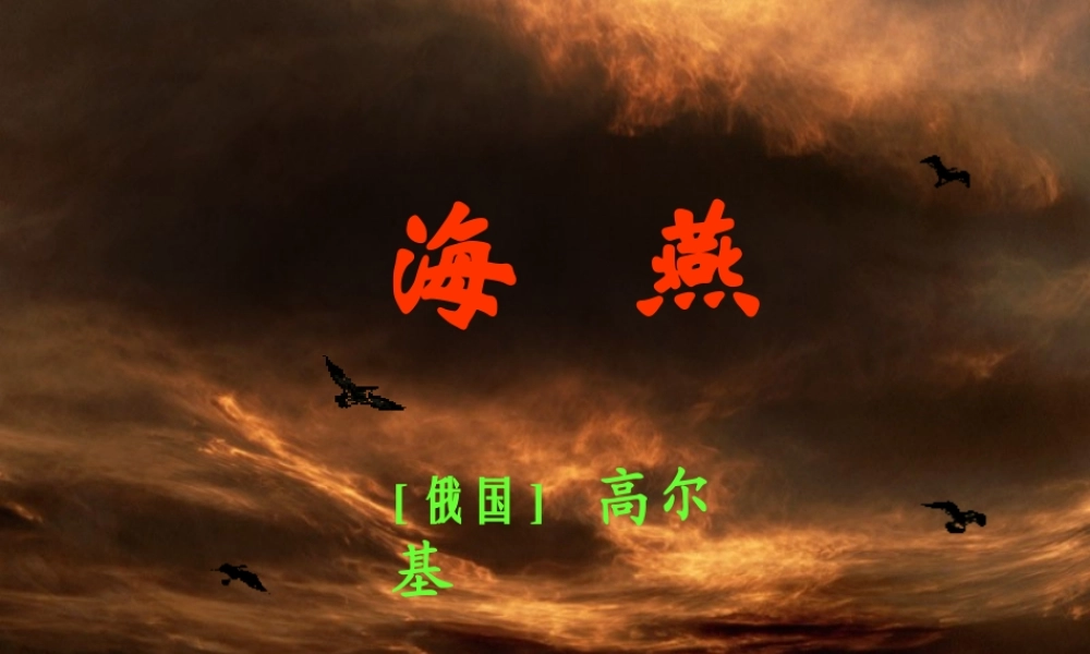 八年级语文下册海燕课件 新课标 人教版 课件