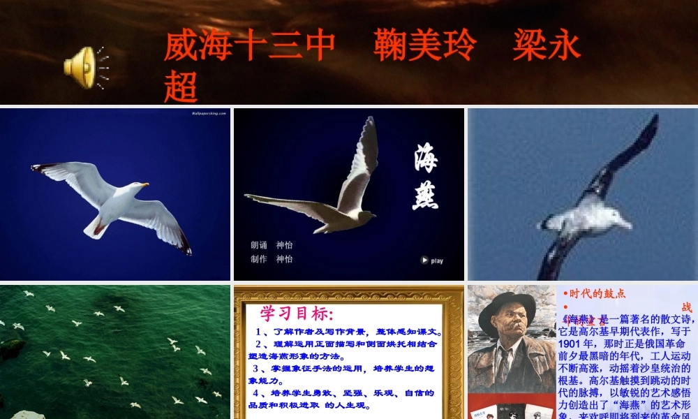 八年级语文下册海燕课件 新课标 人教版 课件