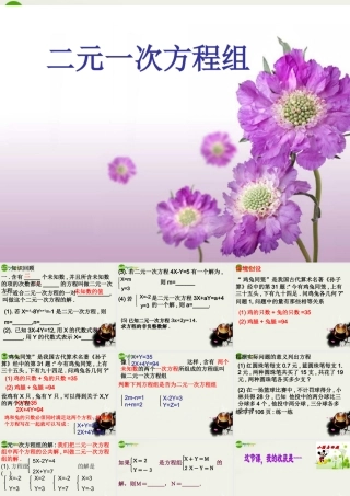 七年级数学下册 10.2二元一次方程组课件 苏科版 课件