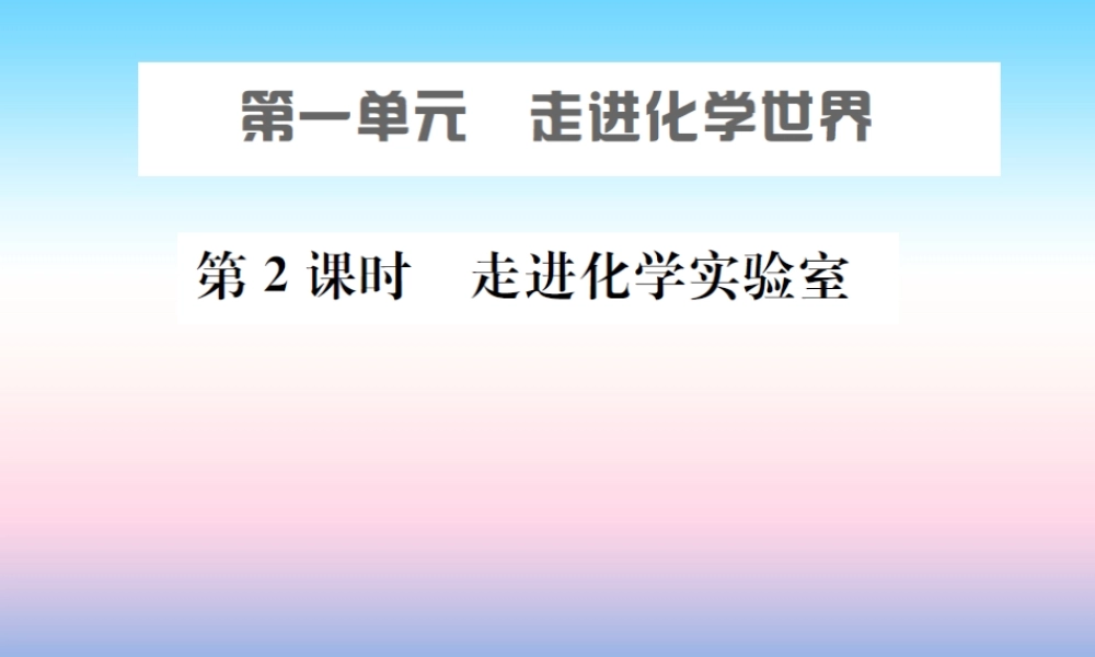 中考化学总复习 第一单元 走进化学世界 第2课时 走进化学实验室课件