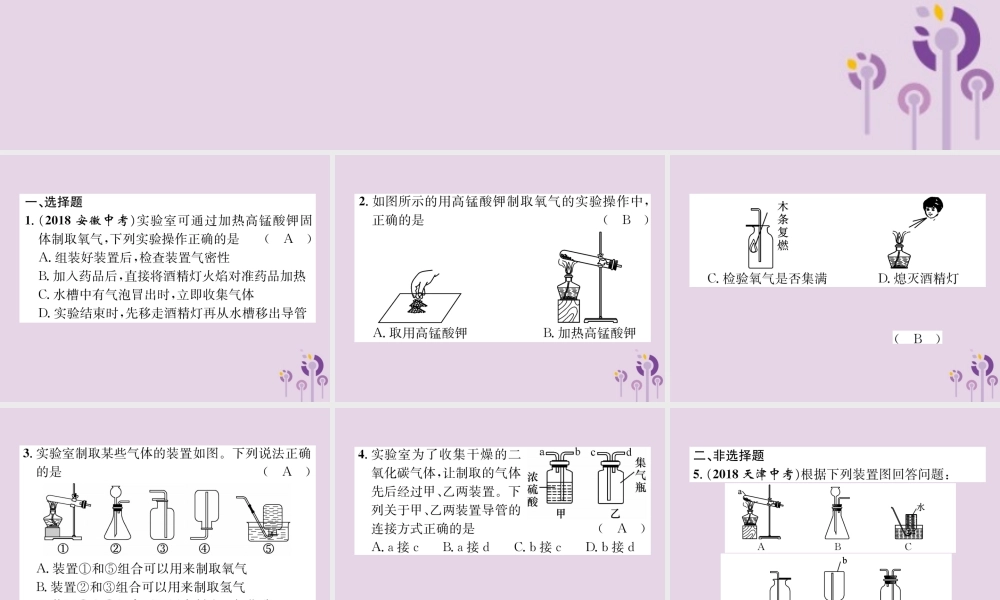 中考化学总复习 第1编 主题复习 模块5 科学探究 课时17 常见气体的制取(精练)课件
