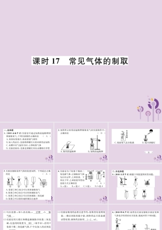 中考化学总复习 第1编 主题复习 模块5 科学探究 课时17 常见气体的制取(精练)课件