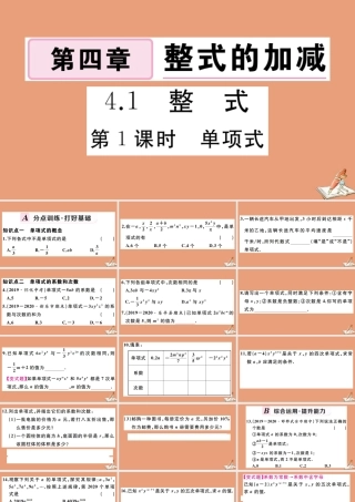 学上册 第四章 整式的加减 4.1 第1课时 单项式作业课件 (新版)冀教版 课件