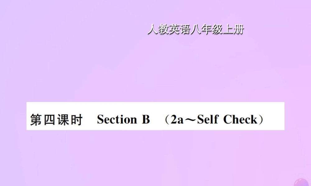 八年级英语上册 Unit 3 I am more outgoing than my sister(第4课时)Section B习题课件 (新版)人教新目标版 课件