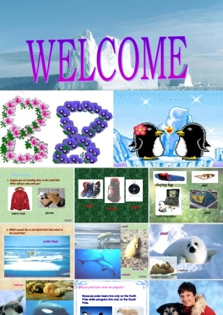 安徽省滁州地区高一英语公开课课件 人教版 课件