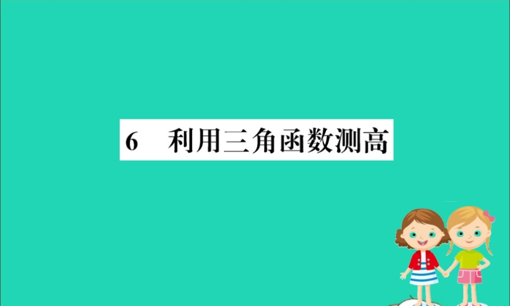 九年级数学下册 第一章 直角三角形的边角关系 16 利用三角函数测高训练课件 (新版)北师大版 课件