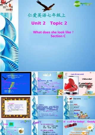 七年级英语上册 unit2topic2sectionc课件 仁爱版 课件