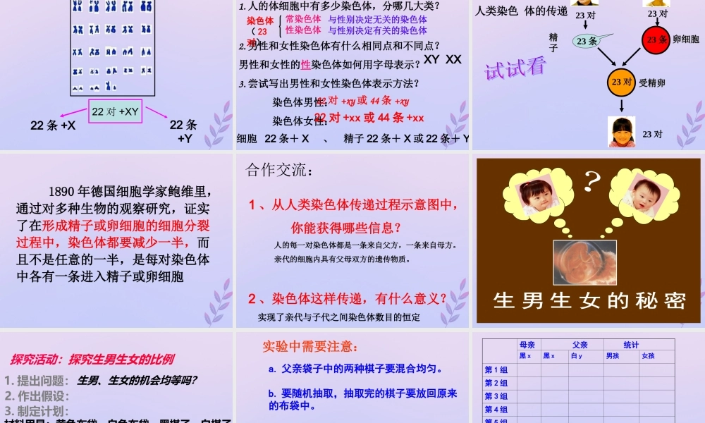 八年级生物上册 第四单元 物种的延续 第四章 生物的遗传与变异 第三节 人类染色体与性别决定课件(新版)济南版 课件