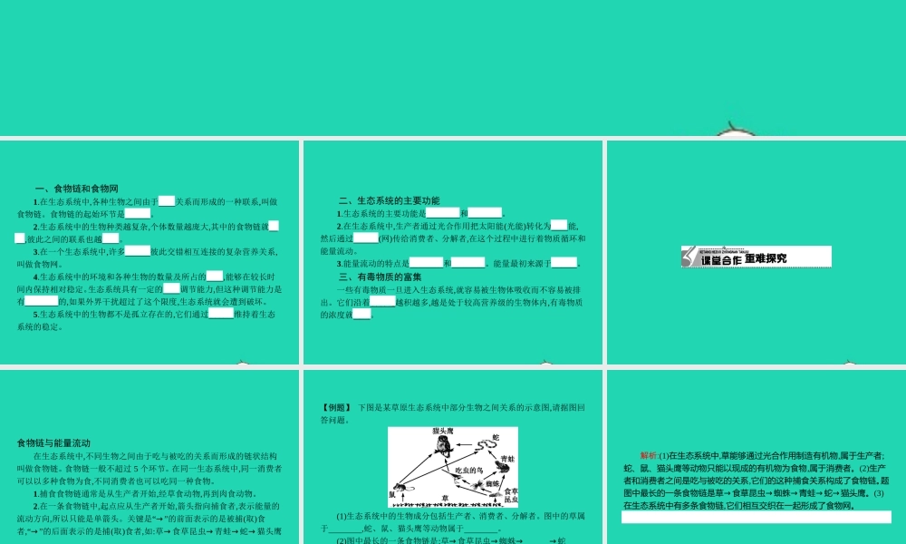 八年级生物下册 7.2.2 食物链和食物网课件 (新版)冀教版 课件