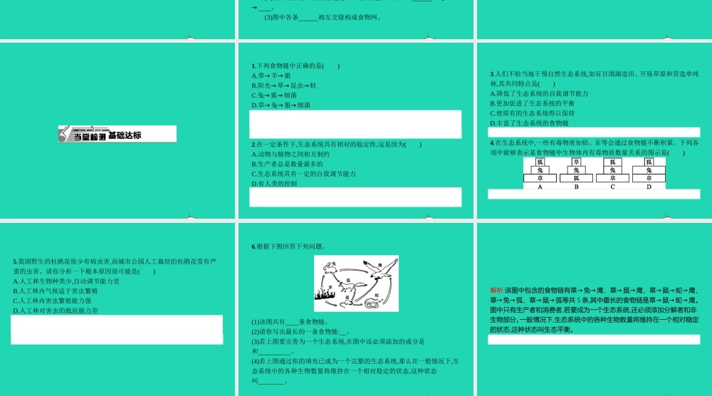八年级生物下册 7.2.2 食物链和食物网课件 (新版)冀教版 课件