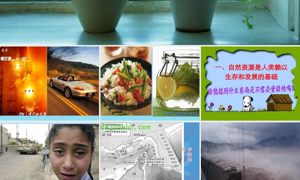 八年级政治下册 保护我们共有的家园课件 苏教版 课件