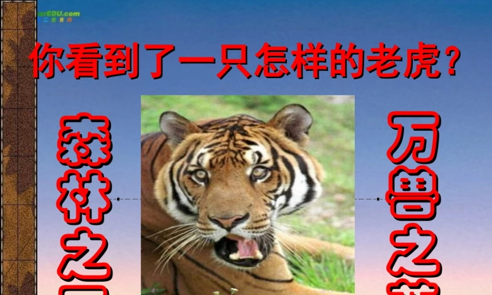 七年级语文上册(华南虎)课件 苏教版 课件