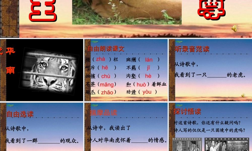 七年级语文上册(华南虎)课件 苏教版 课件