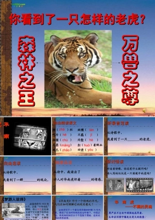 七年级语文上册(华南虎)课件 苏教版 课件