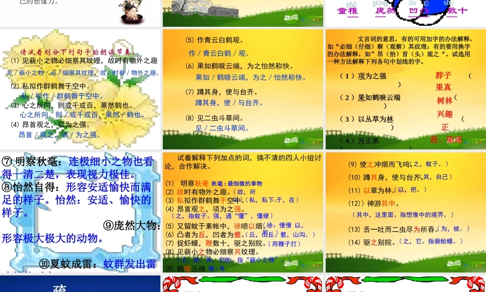 七年级语文上册 第五课  童趣课件 人教新课标版 课件