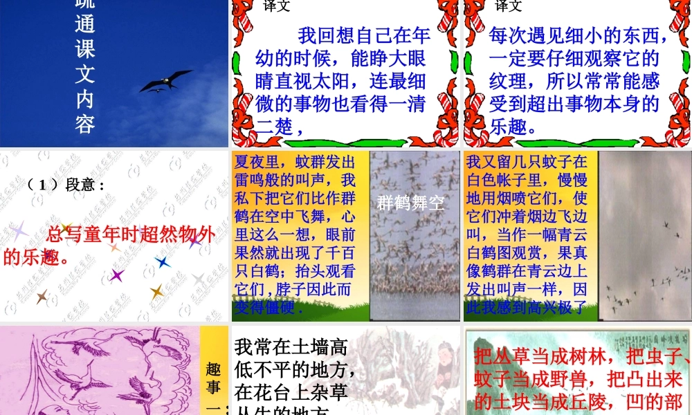 七年级语文上册 第五课  童趣课件 人教新课标版 课件