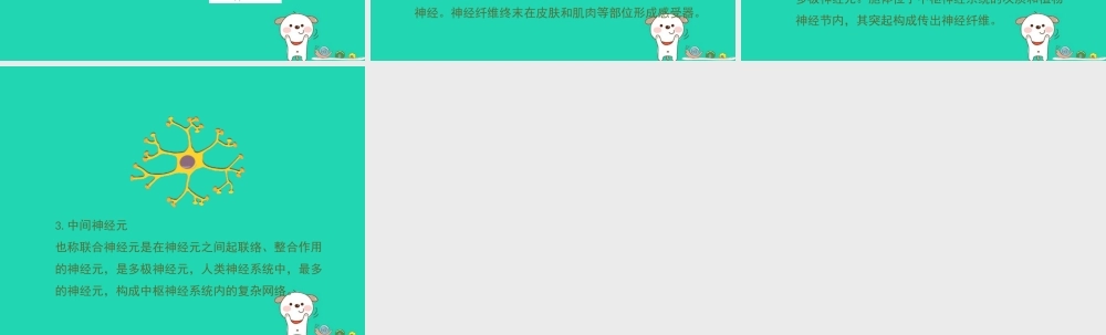 七年级生物下册 4.6.2(神经系统的组成)拓展资料：神经元的分类素材 (新版)新人教版 素材