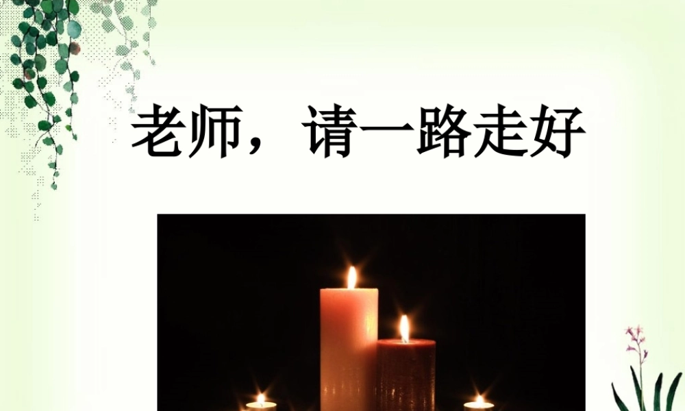 《老师-请一路走好》课件