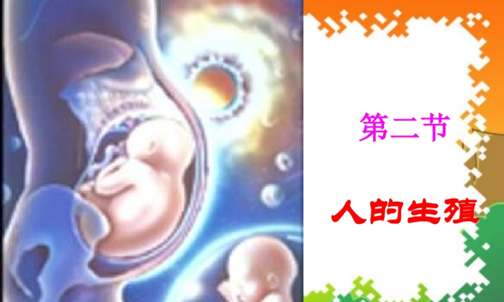 七年级生物下册：第四单元第一章第二节人的生殖6课件 人教版 课件