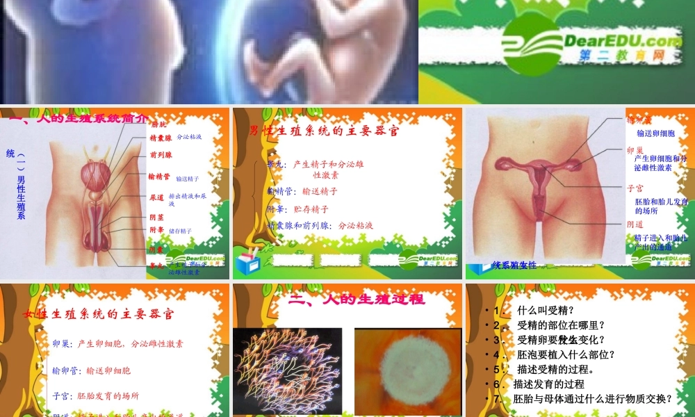 七年级生物下册：第四单元第一章第二节人的生殖6课件 人教版 课件